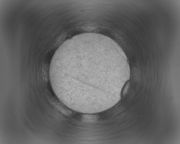 X0000080700234200701121759