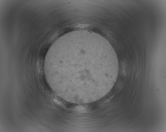 X0000080700236200701121759