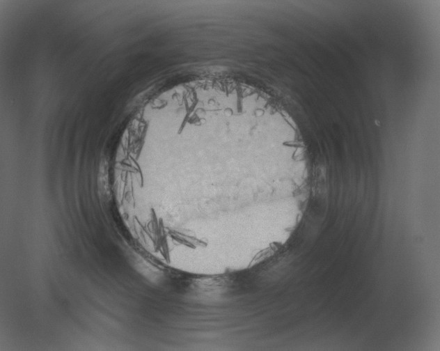 X0000080700238200701121759