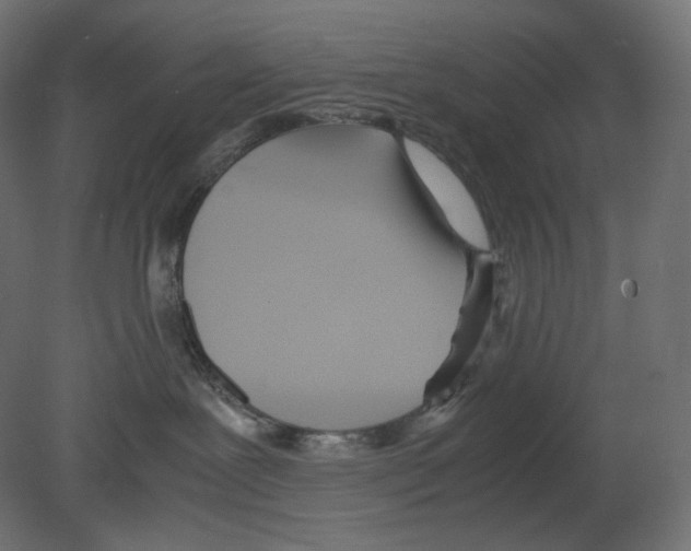 X0000080700239200701121759