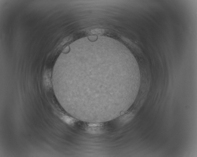 X0000080700240200701121759