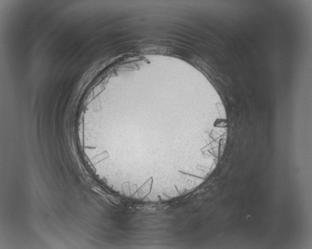 X0000080700241200701121758