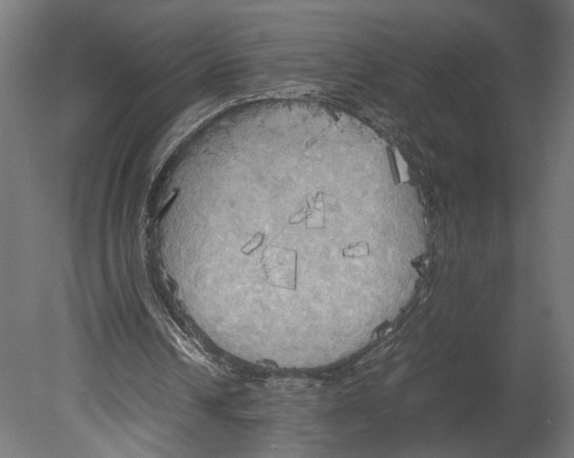 X0000080700242200701121758