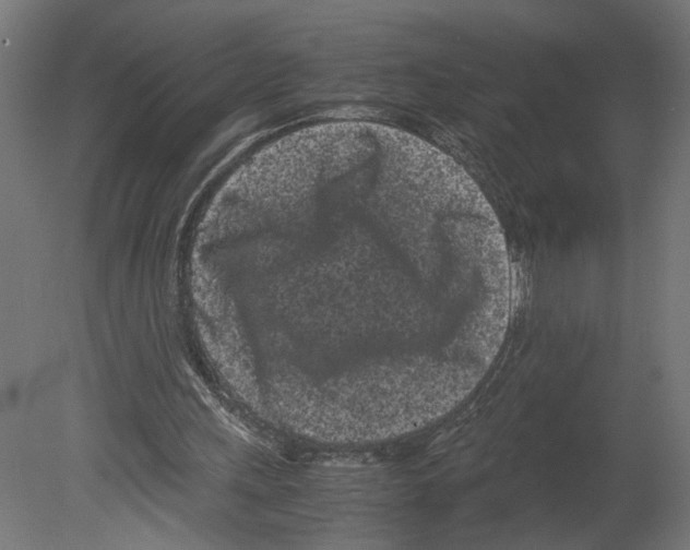 X0000080700243200701121758