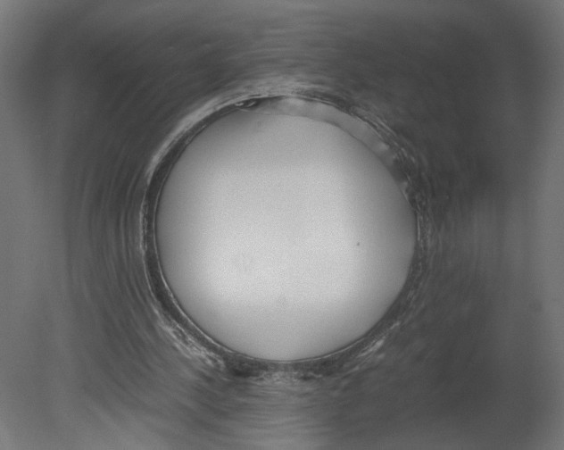 X0000080700244200701121758