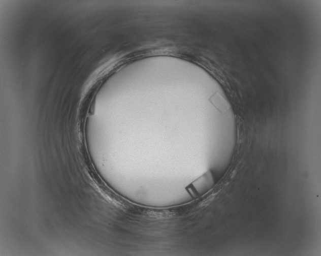 X0000080700245200701121759