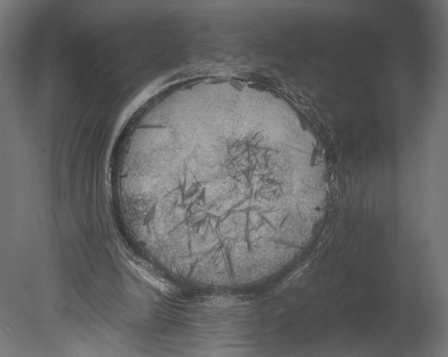 X0000080700246200701121759