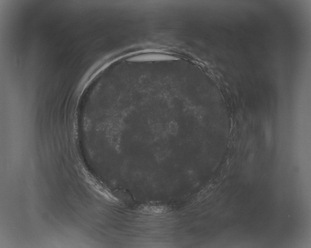 X0000080700247200701121759