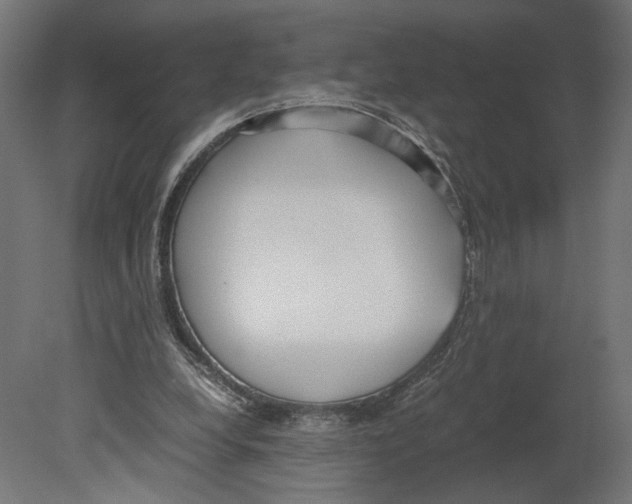 X0000080700248200701121759