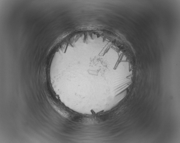 X0000080700250200701121759