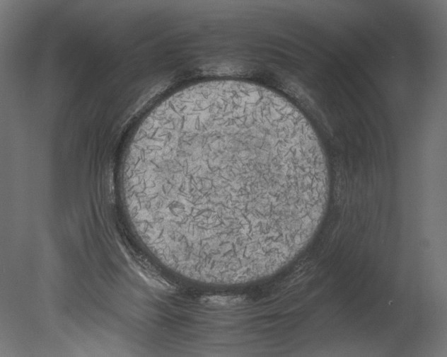 X0000080700251200701121759