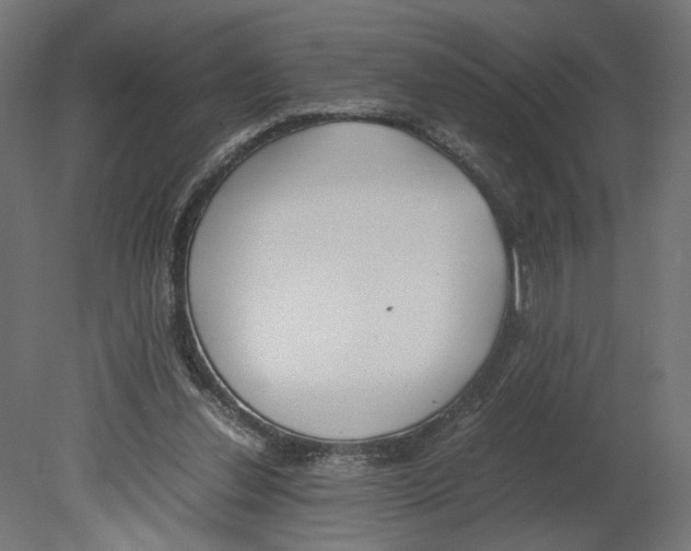 X0000080700252200701121759