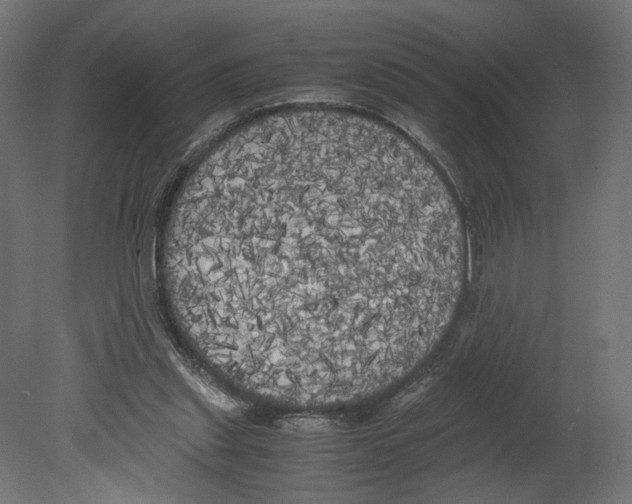 X0000080700253200701121759