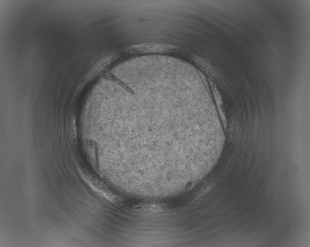 X0000080700254200701121759