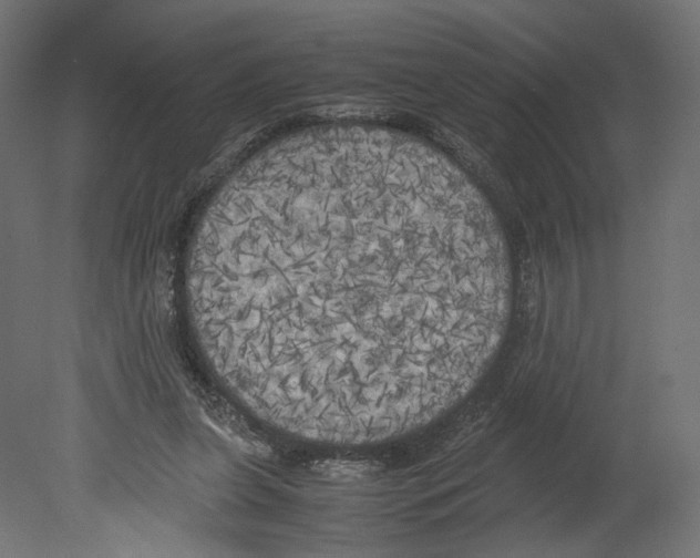 X0000080700255200701121759