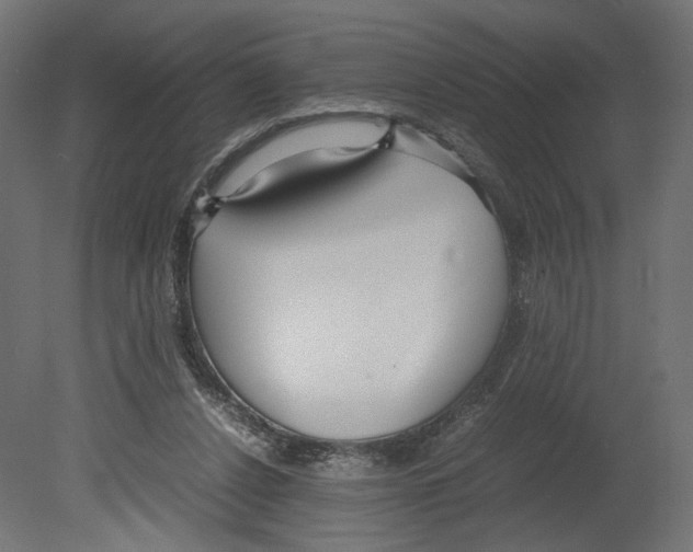 X0000080700256200701121759