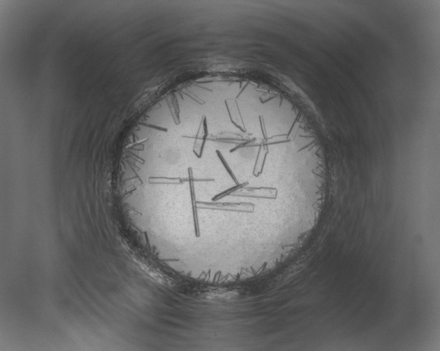 X0000080700257200701121759