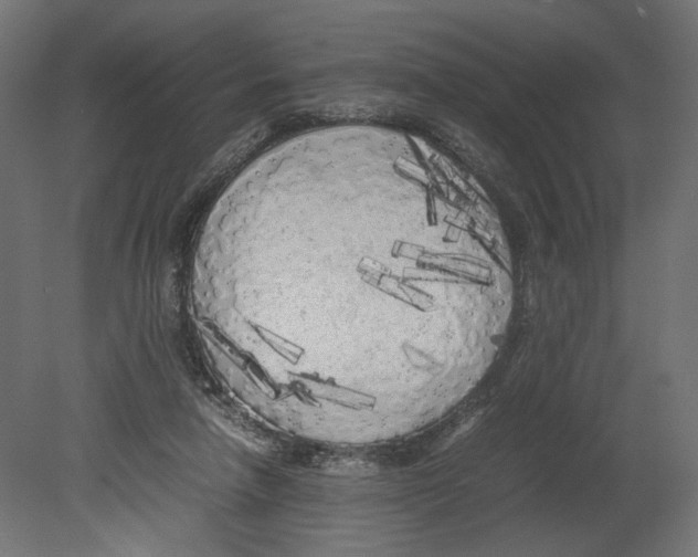 X0000080700258200701121759