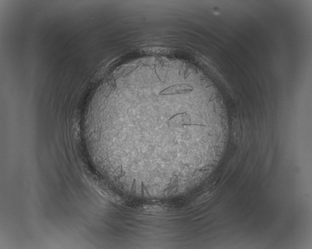 X0000080700259200701121759