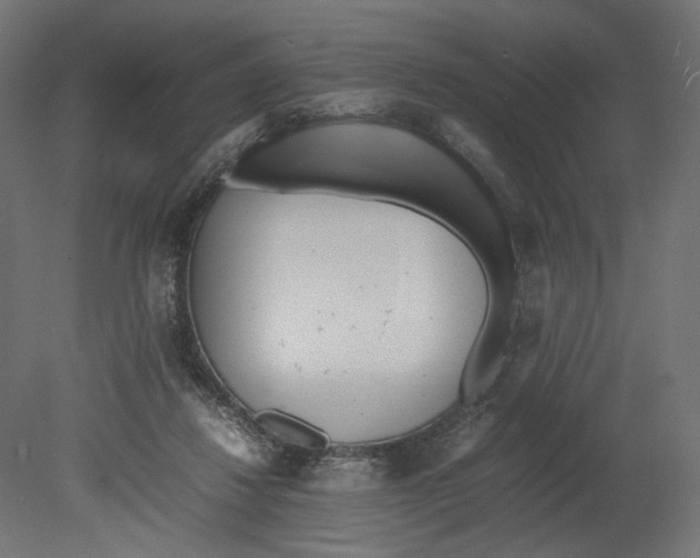 X0000080700260200701121759