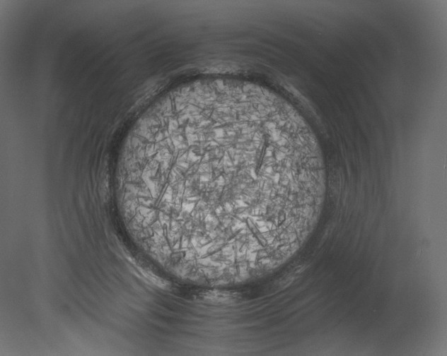 X0000080700261200701121759