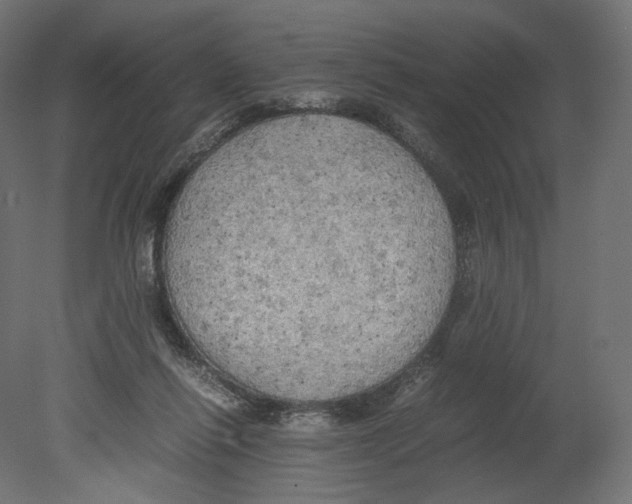 X0000080700262200701121759