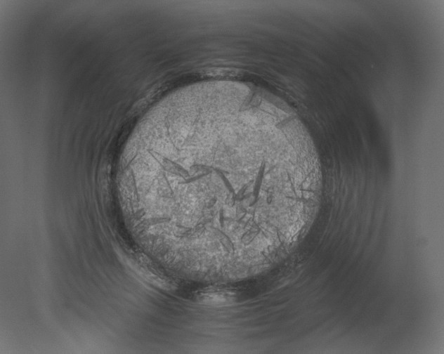 X0000080700263200701121759