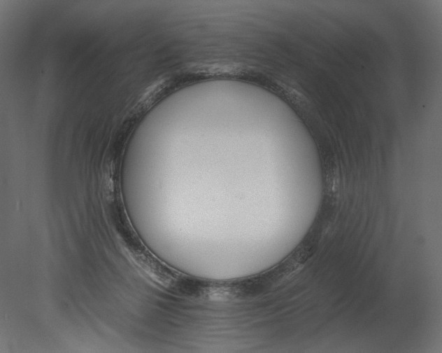 X0000080700264200701121759