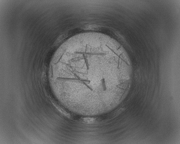 X0000080700265200701121759