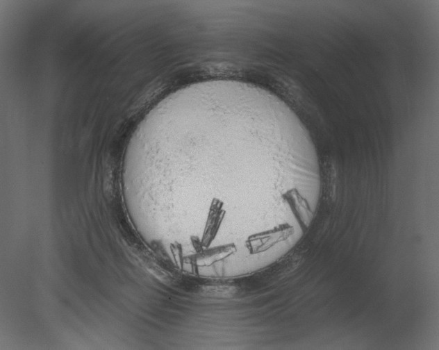 X0000080700266200701121759