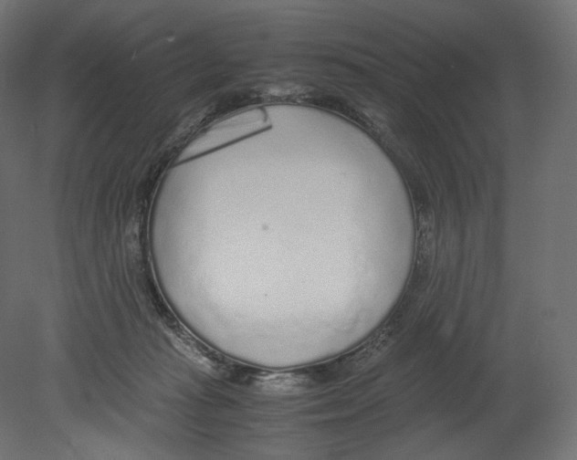 X0000080700269200701121759