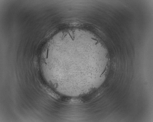 X0000080700270200701121759