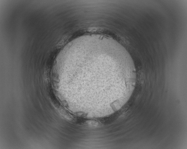 X0000080700272200701121759