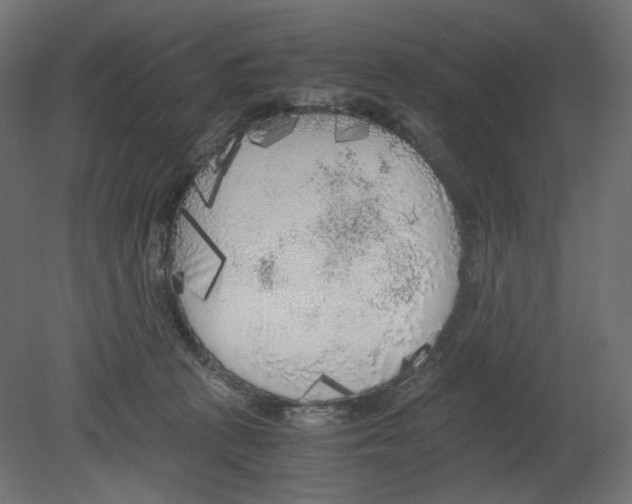 X0000080700273200701121759