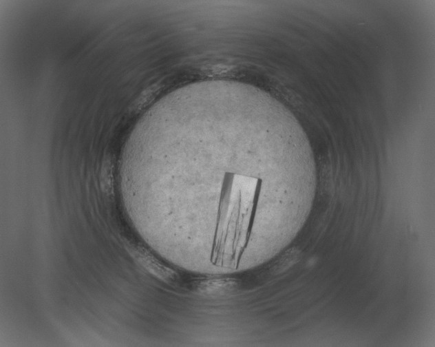 X0000080700274200701121759