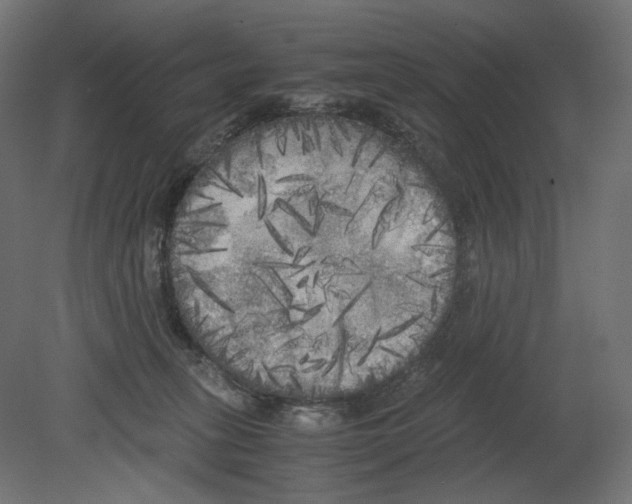 X0000080700275200701121759