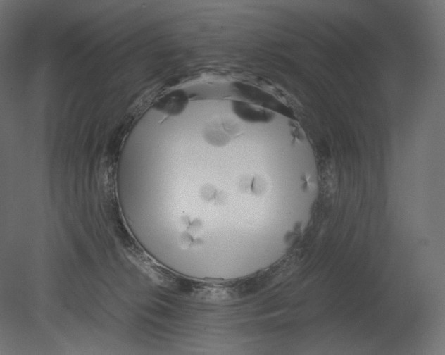 X0000080700276200701121759