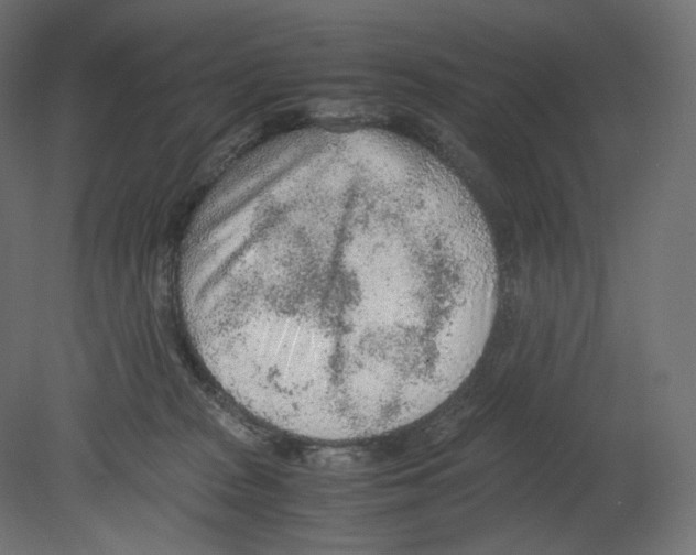 X0000080700277200701121759