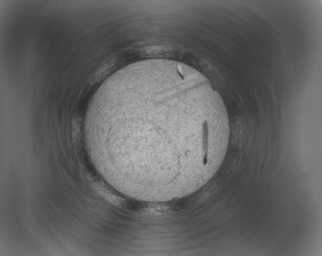 X0000080700278200701121759