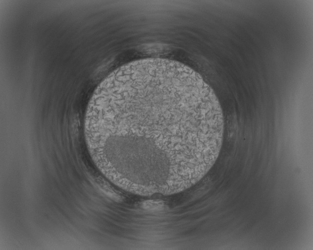 X0000080700279200701121759