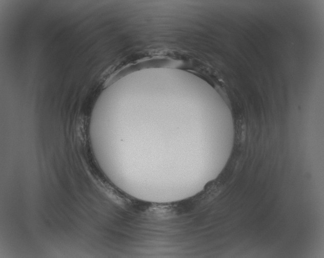 X0000080700280200701121759