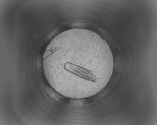 X0000080700282200701121759