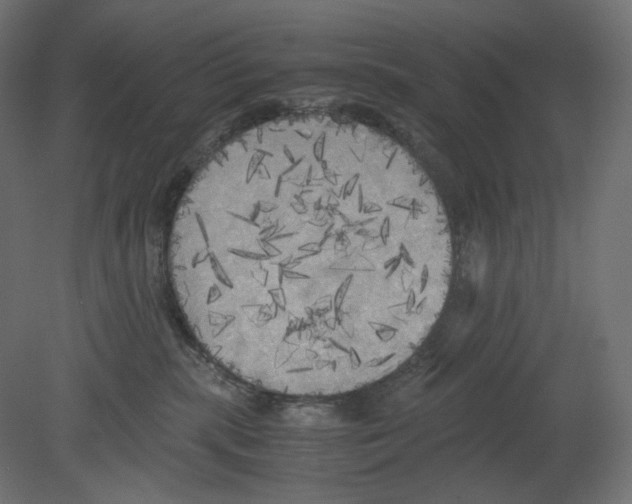 X0000080700283200701121759