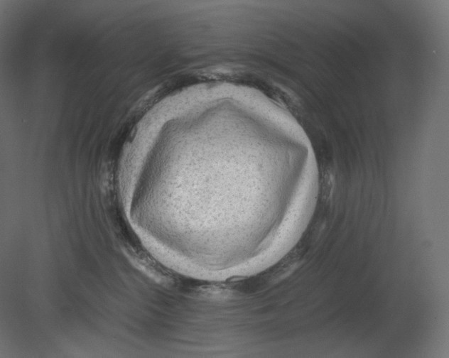 X0000080700284200701121759