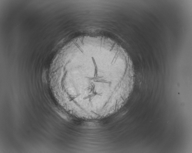 X0000080700286200701121759