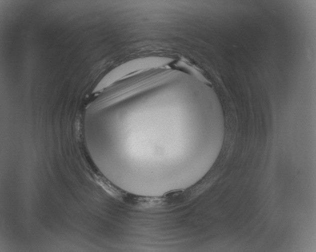 X0000080700288200701121759