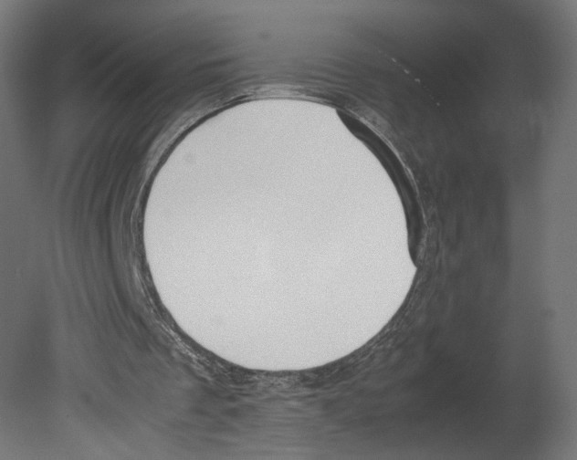 X0000080700289200701121758