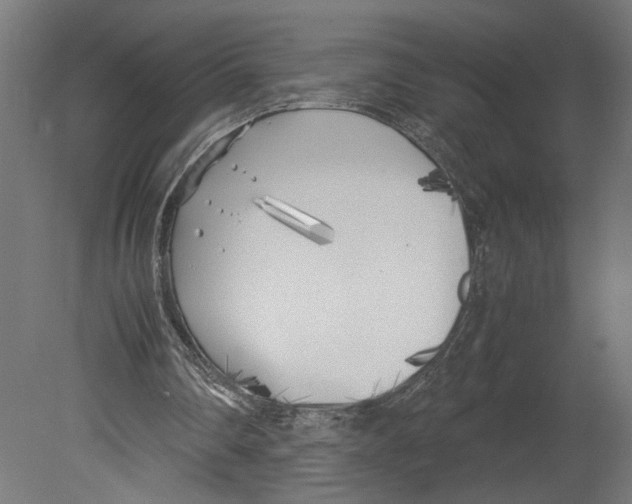 X0000080700290200701121758