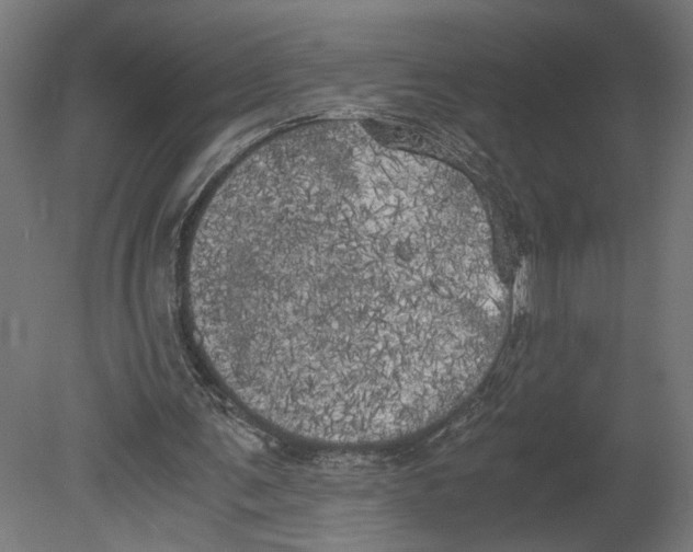 X0000080700291200701121758