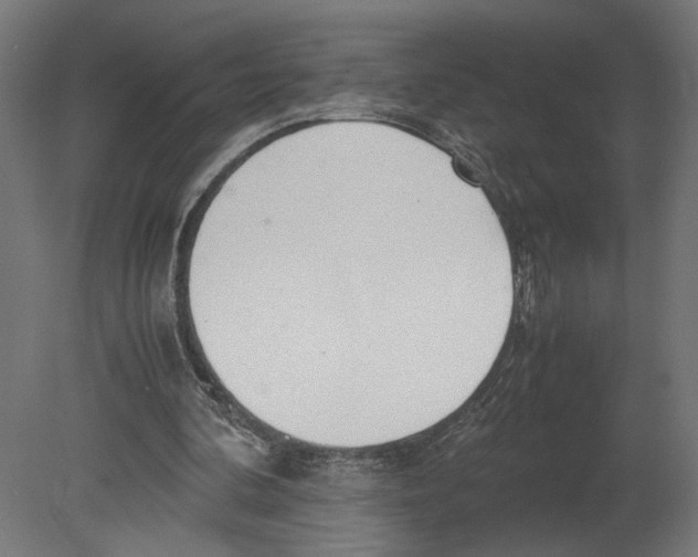 X0000080700292200701121758